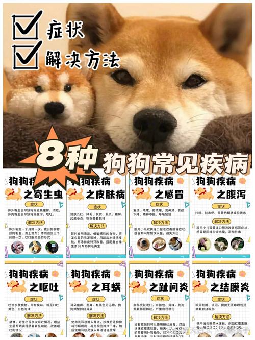解析“狗生病的症状治疗方法”你不知道的事-第2张图片 解析“狗生病的症状治疗方法”你不知道的事-第2张图片