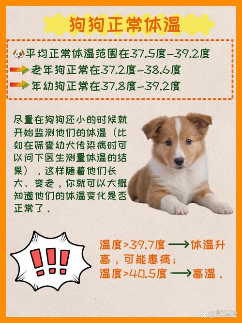 解析“狗生病的症状治疗方法”你不知道的事-第3张图片 解析“狗生病的症状治疗方法”你不知道的事-第3张图片