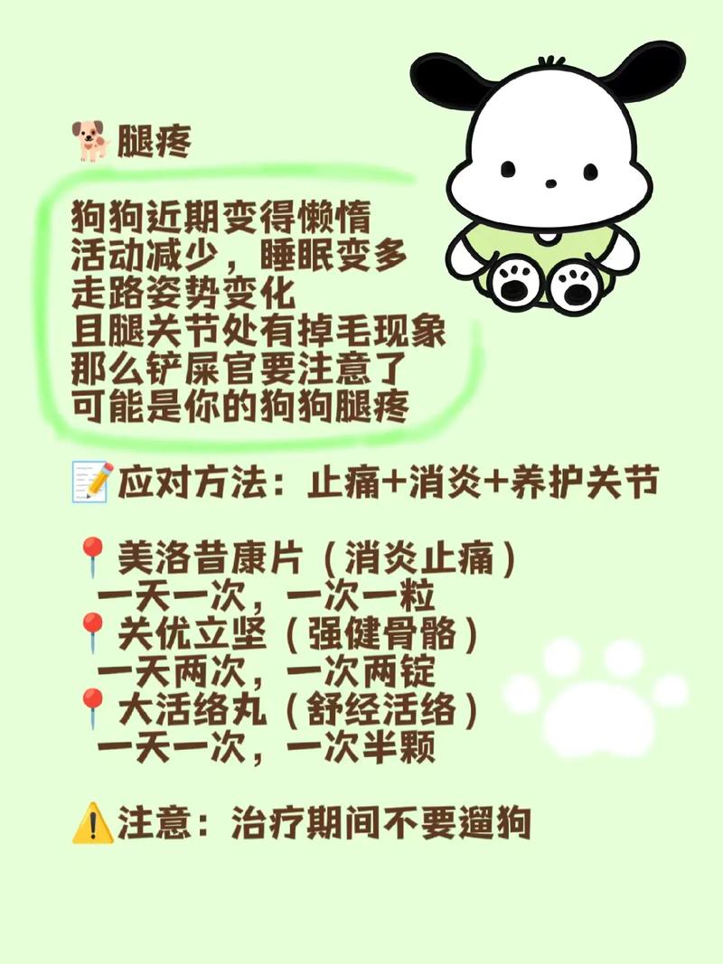 解析“狗生病的症状治疗方法”你不知道的事-第6张图片 解析“狗生病的症状治疗方法”你不知道的事-第6张图片