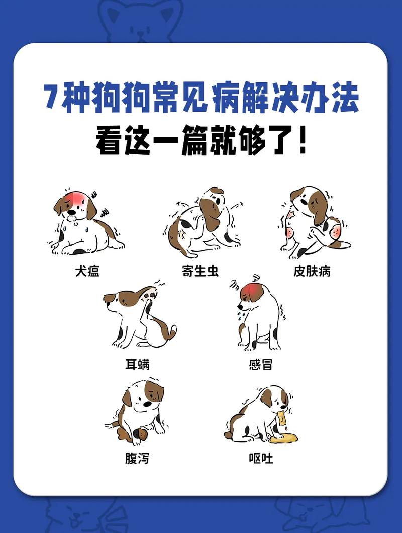 解析“狗生病的症状治疗方法”你不知道的事-第10张图片 解析“狗生病的症状治疗方法”你不知道的事-第10张图片