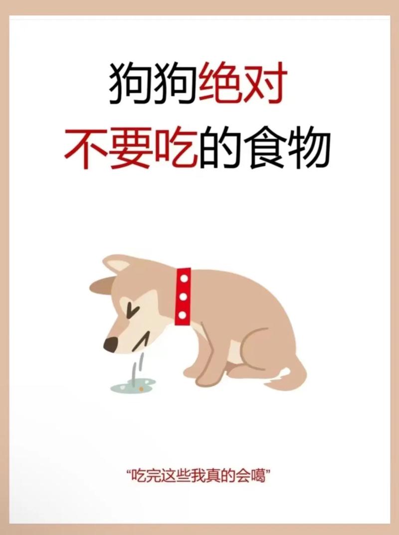 狗狗能吃猪肉吗/狗狗能吃猪肉吗,狗粮-第4张图片 狗狗能吃猪肉吗/狗狗能吃猪肉吗,狗粮-第4张图片