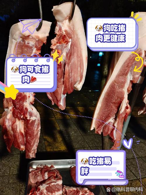 狗狗能吃猪肉吗/狗狗能吃猪肉吗,狗粮-第5张图片 狗狗能吃猪肉吗/狗狗能吃猪肉吗,狗粮-第5张图片