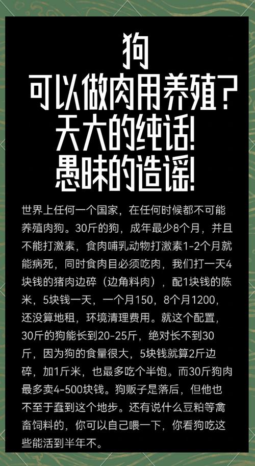 狗狗能吃猪肉吗/狗狗能吃猪肉吗,狗粮-第7张图片 狗狗能吃猪肉吗/狗狗能吃猪肉吗,狗粮-第7张图片
