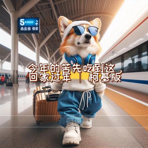 作为消费者“柯基走了会知道回家吗”你不能不知道-第2张图片 作为消费者“柯基走了会知道回家吗”你不能不知道-第2张图片