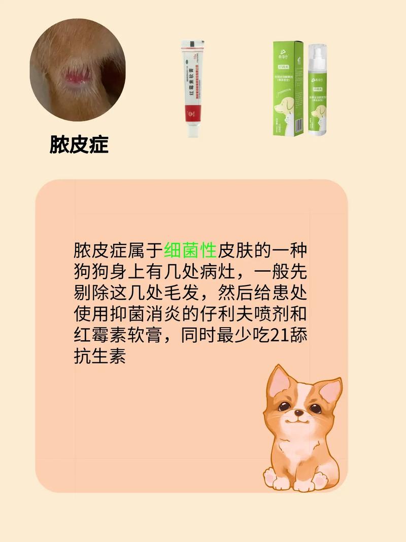 狗得了皮肤病怎么办用什么药-狗得了皮肤病使用什么药好一点
