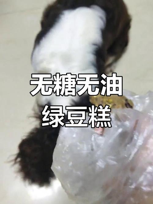 解析“狗狗可以吃绿豆雪糕吗”你不知道的事-第4张图片 解析“狗狗可以吃绿豆雪糕吗”你不知道的事-第4张图片
