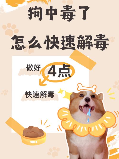 解析“狗狗可以吃绿豆雪糕吗”你不知道的事-第6张图片 解析“狗狗可以吃绿豆雪糕吗”你不知道的事-第6张图片