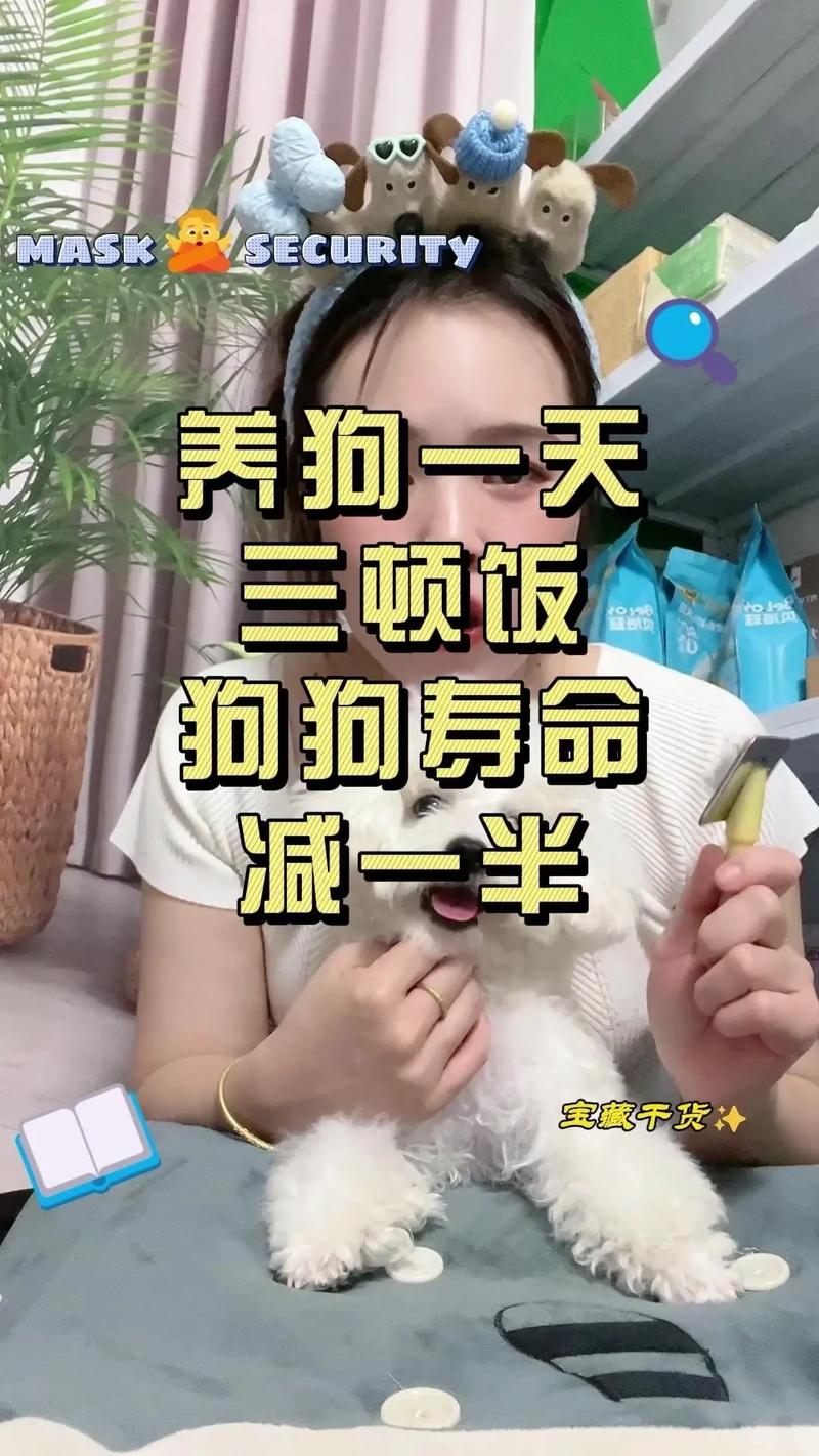 三个月狗狗一天喂几次/三个月狗狗一天喂几次水-第3张图片 三个月狗狗一天喂几次/三个月狗狗一天喂几次水-第3张图片