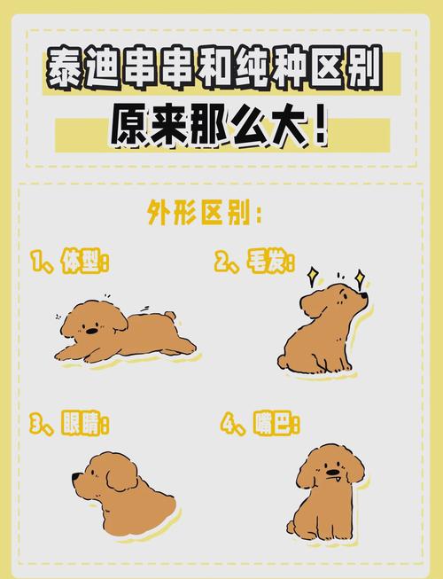 贵宾犬串串狗/贵宾串串聪明吗-第8张图片 贵宾犬串串狗/贵宾串串聪明吗-第8张图片