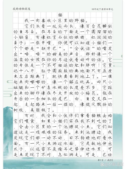 猫咪的特征/聪明猫咪的特征-第3张图片 猫咪的特征/聪明猫咪的特征-第3张图片