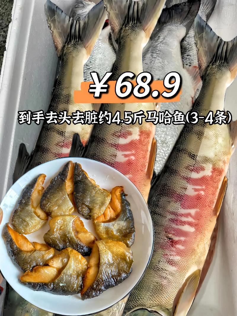 白色的鱼是啥鱼/白色的鱼类-第6张图片 白色的鱼是啥鱼/白色的鱼类-第6张图片