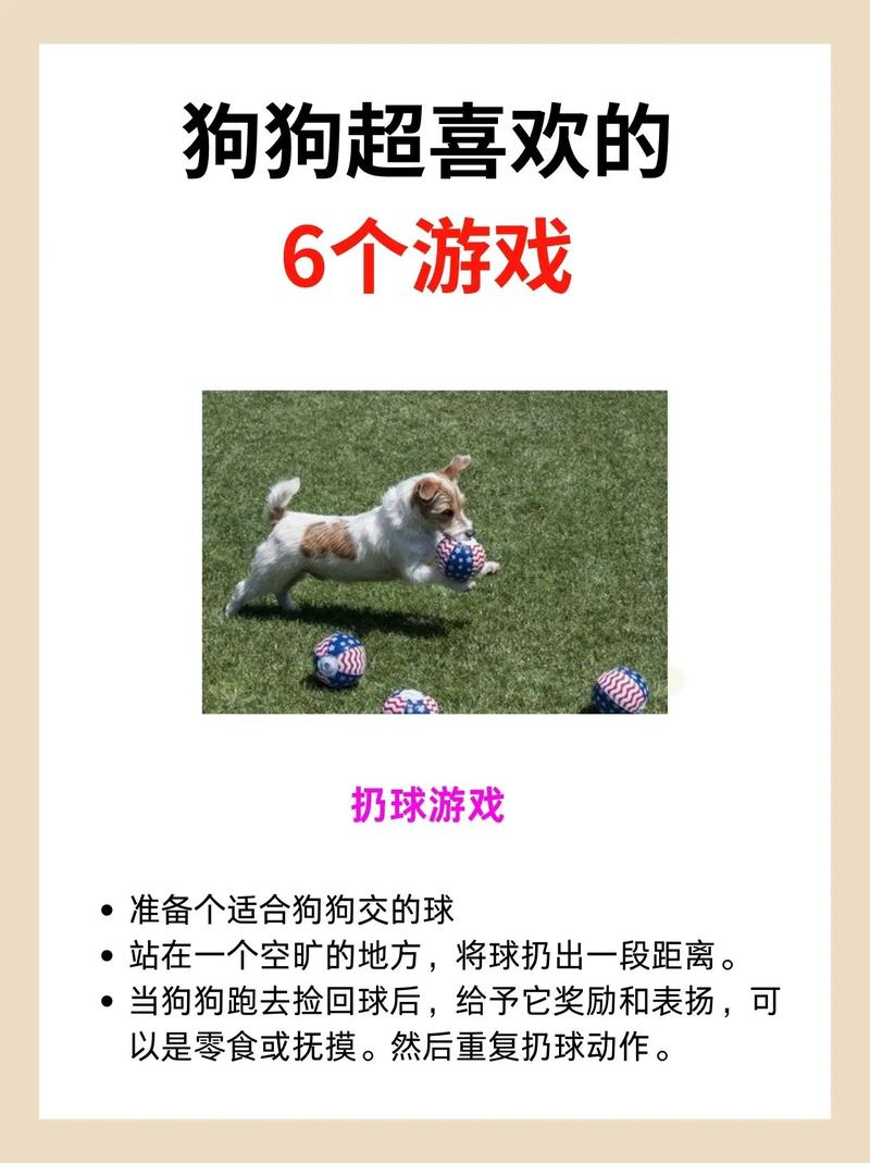 小狗喜欢玩什么/小狗喜欢玩什么游戏-第1张图片 小狗喜欢玩什么/小狗喜欢玩什么游戏-第1张图片
