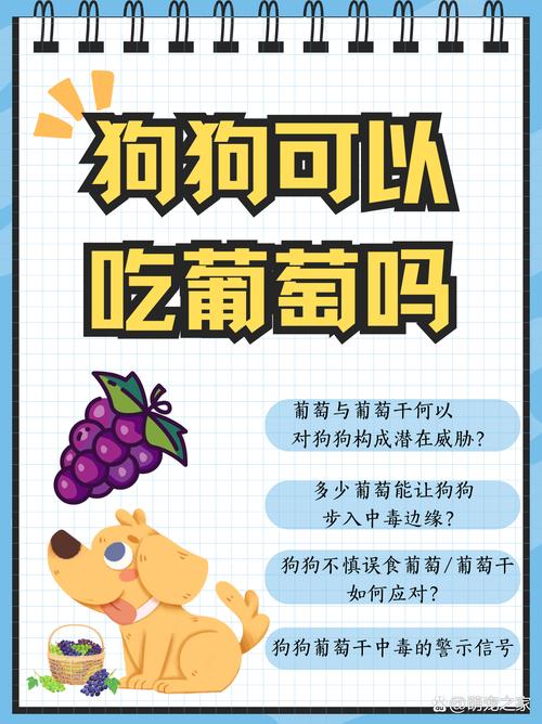 小狗狗能不能吃葡萄/小狗狗能不能吃葡萄柚-第4张图片 小狗狗能不能吃葡萄/小狗狗能不能吃葡萄柚-第4张图片