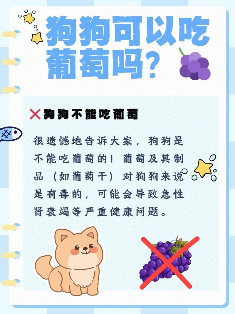 小狗狗能不能吃葡萄/小狗狗能不能吃葡萄柚-第6张图片 小狗狗能不能吃葡萄/小狗狗能不能吃葡萄柚-第6张图片