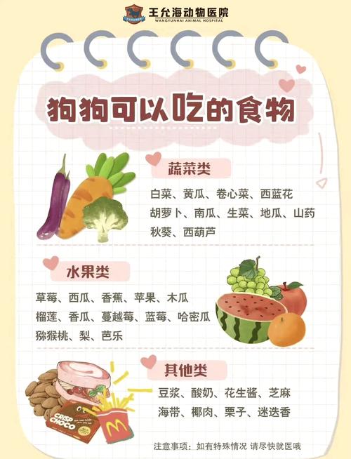 作为消费者“狗可以吃石榴吗”你不能不知道-第5张图片 作为消费者“狗可以吃石榴吗”你不能不知道-第5张图片