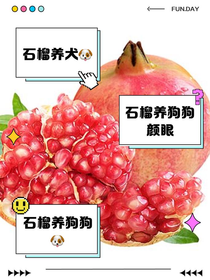 作为消费者“狗可以吃石榴吗”你不能不知道-第8张图片 作为消费者“狗可以吃石榴吗”你不能不知道-第8张图片