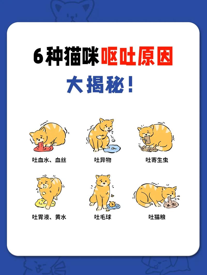 猫咪一直吐怎么回事,猫咪吐怎么回事不拉稀-第4张图片 猫咪一直吐怎么回事,猫咪吐怎么回事不拉稀-第4张图片