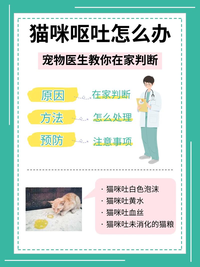 猫咪一直吐怎么回事,猫咪吐怎么回事不拉稀-第7张图片 猫咪一直吐怎么回事,猫咪吐怎么回事不拉稀-第7张图片