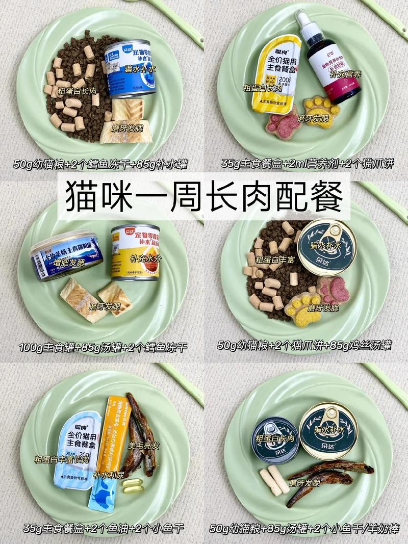 猫咪吃什么长肉-猫吃啥能长胖-第2张图片 猫咪吃什么长肉-猫吃啥能长胖-第2张图片