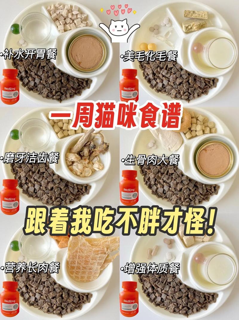 猫咪吃什么长肉-猫吃啥能长胖-第4张图片 猫咪吃什么长肉-猫吃啥能长胖-第4张图片
