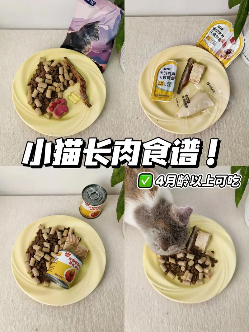 猫咪吃什么长肉-猫吃啥能长胖-第5张图片 猫咪吃什么长肉-猫吃啥能长胖-第5张图片