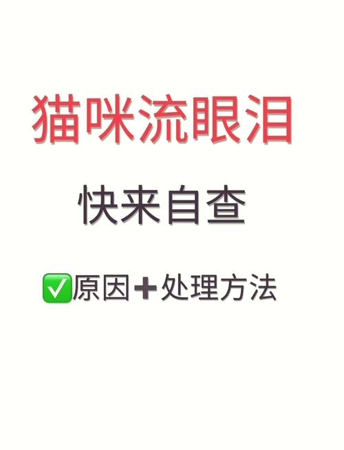 猫咪的眼睛睁不开/猫咪的眼睛睁不开耳朵出血不吃东西-第3张图片 猫咪的眼睛睁不开/猫咪的眼睛睁不开耳朵出血不吃东西-第3张图片