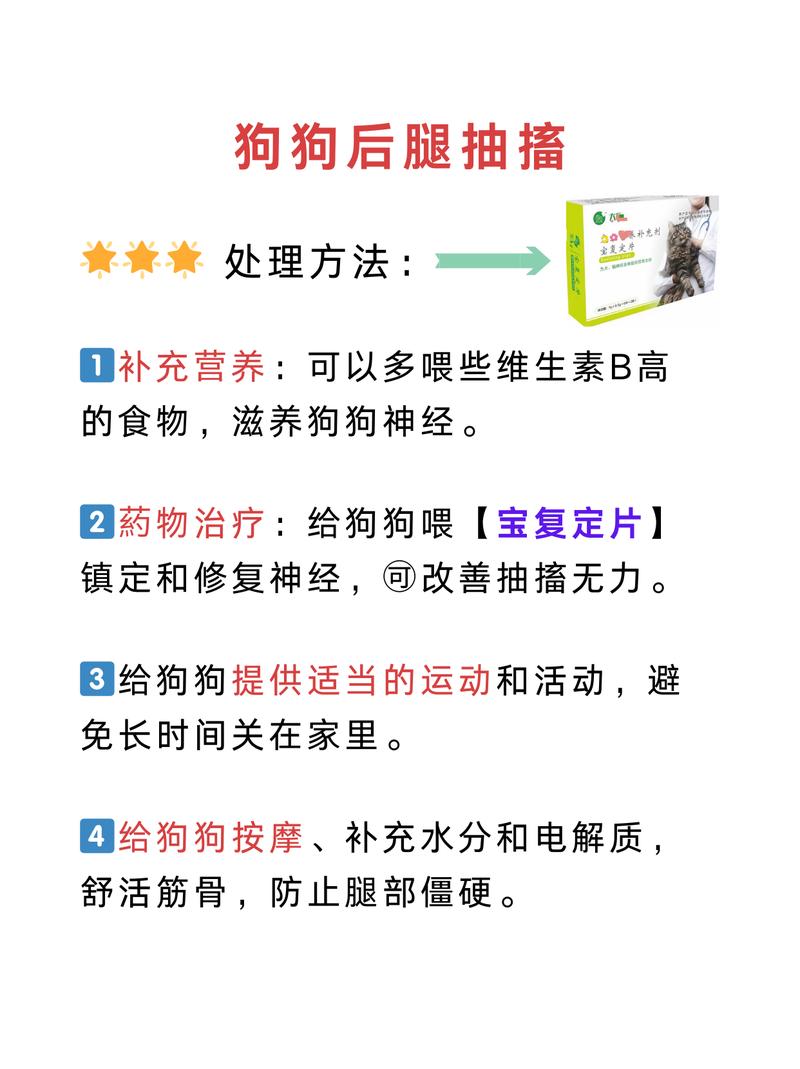 狗狗抽搐吐白沫怎么办/狗狗抽搐吐白沫怎么办吃什么药-第5张图片 狗狗抽搐吐白沫怎么办/狗狗抽搐吐白沫怎么办吃什么药-第5张图片