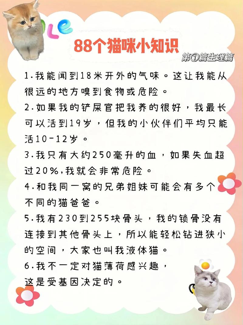 伯曼猫得了脑炎的表现/伯曼猫是什么品种-第1张图片 伯曼猫得了脑炎的表现/伯曼猫是什么品种-第1张图片