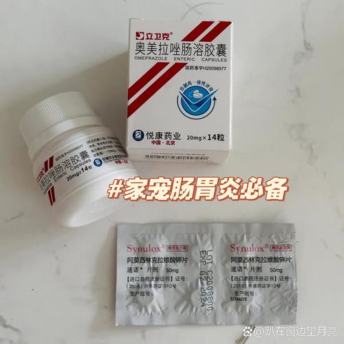 狗狗拉稀呕吐吃什么药-狗拉肚呕吐吃什么药-第3张图片 狗狗拉稀呕吐吃什么药-狗拉肚呕吐吃什么药-第3张图片
