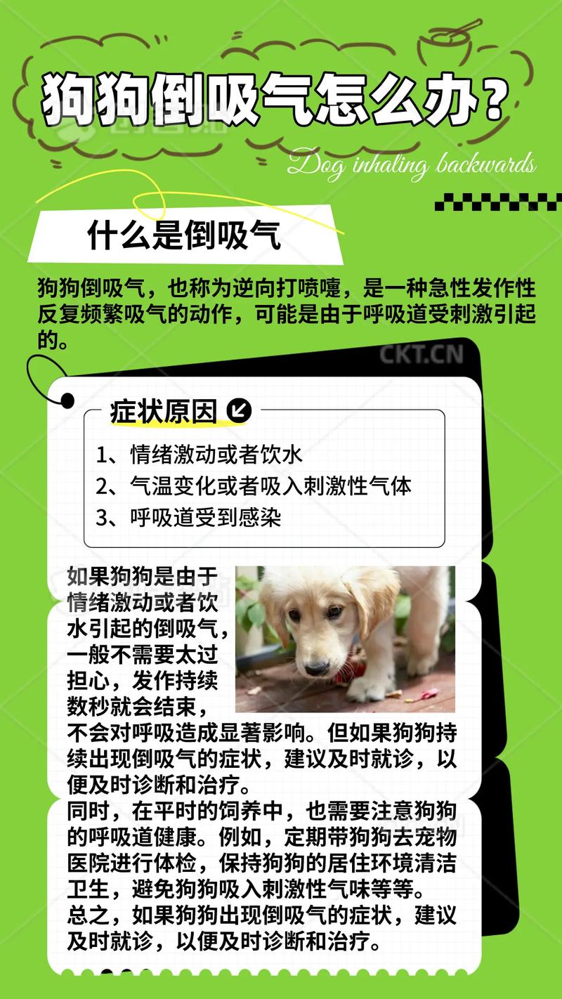 狗狗倒吸气/狗狗倒吸气能自己恢复吗-第2张图片 狗狗倒吸气/狗狗倒吸气能自己恢复吗-第2张图片
