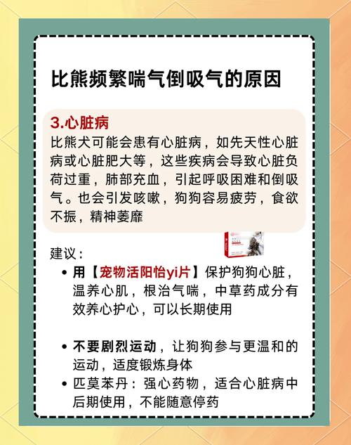 狗狗倒吸气/狗狗倒吸气能自己恢复吗-第5张图片 狗狗倒吸气/狗狗倒吸气能自己恢复吗-第5张图片