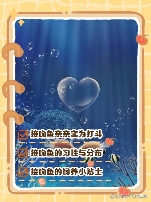 作为消费者“接吻鱼攻击其他鱼吗”你不能不知道-第4张图片 作为消费者“接吻鱼攻击其他鱼吗”你不能不知道-第4张图片