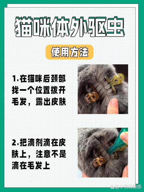 猫咪多大可以吃驱虫药，小猫咪多大可以喂驱虫药