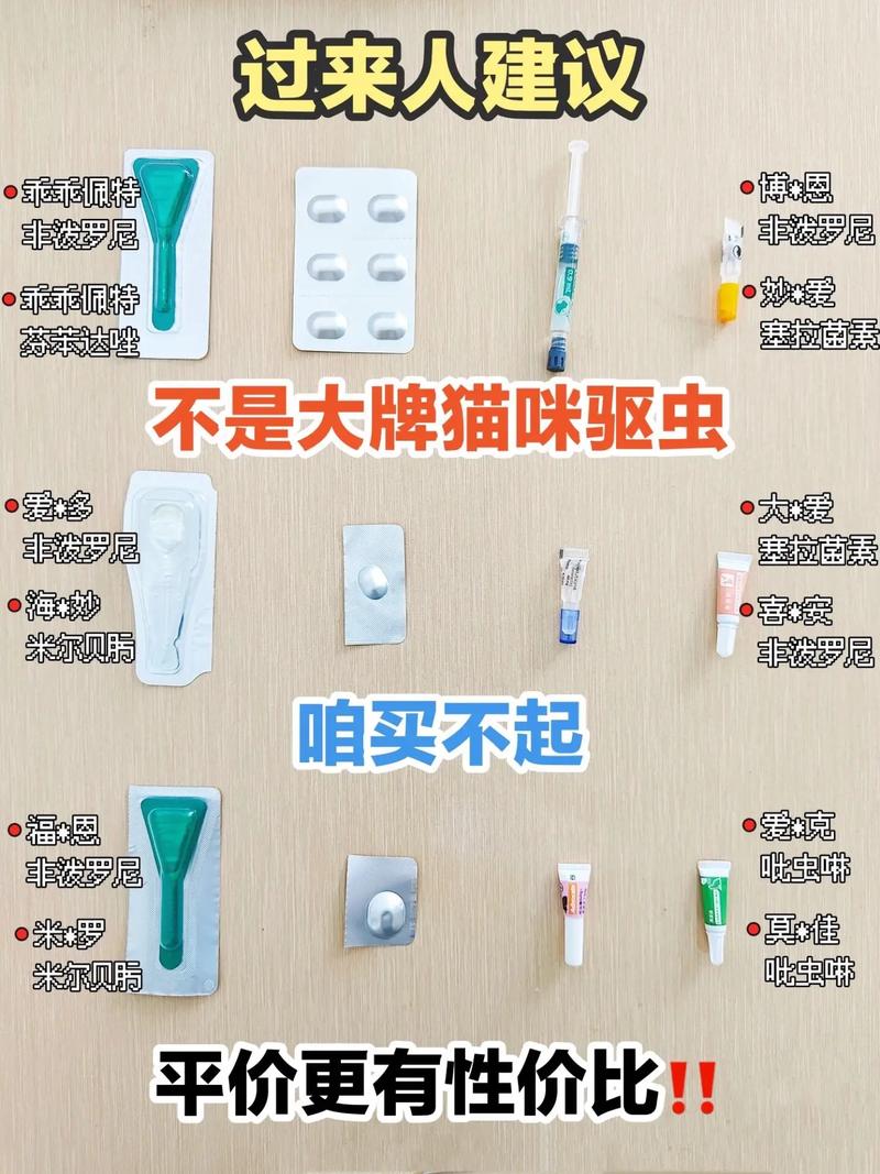 猫咪多大可以吃驱虫药,小猫咪多大可以喂驱虫药-第5张图片 猫咪多大可以吃驱虫药,小猫咪多大可以喂驱虫药-第5张图片
