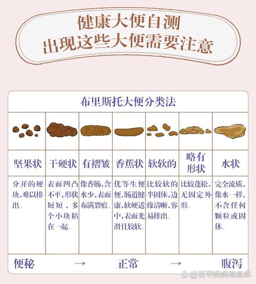 狗狗大便白色怎么回事,狗狗大便偏白色是什么情况-第4张图片 狗狗大便白色怎么回事,狗狗大便偏白色是什么情况-第4张图片