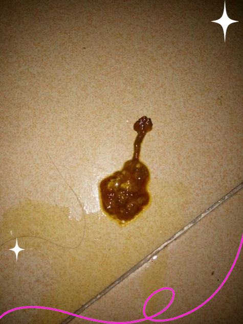 狗狗大便白色怎么回事,狗狗大便偏白色是什么情况-第5张图片 狗狗大便白色怎么回事,狗狗大便偏白色是什么情况-第5张图片