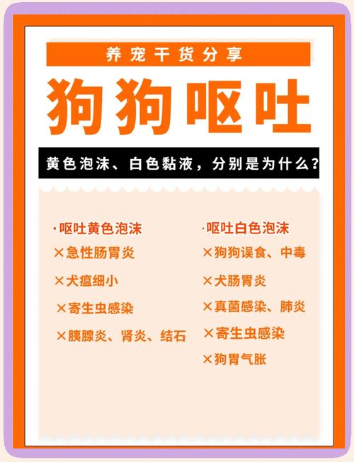 狗狗大便白色怎么回事,狗狗大便偏白色是什么情况-第9张图片 狗狗大便白色怎么回事,狗狗大便偏白色是什么情况-第9张图片
