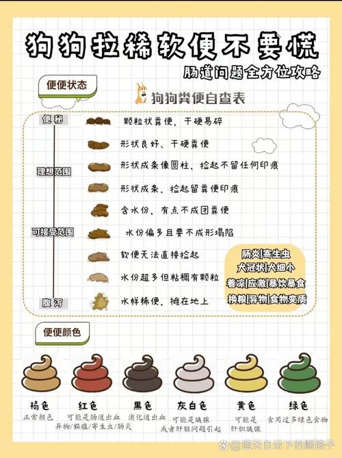 狗狗大便白色怎么回事,狗狗大便偏白色是什么情况-第10张图片 狗狗大便白色怎么回事,狗狗大便偏白色是什么情况-第10张图片