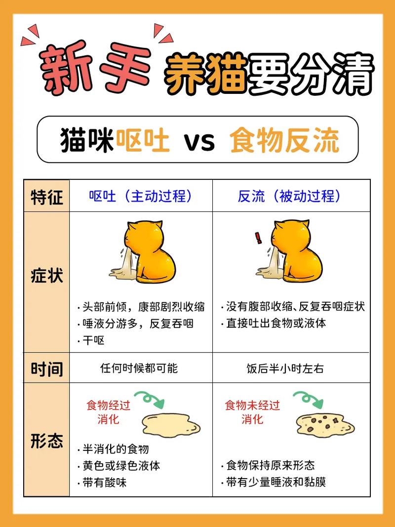 作为消费者“猫咪呕吐怎么治疗”你不能不知道-第1张图片 作为消费者“猫咪呕吐怎么治疗”你不能不知道-第1张图片