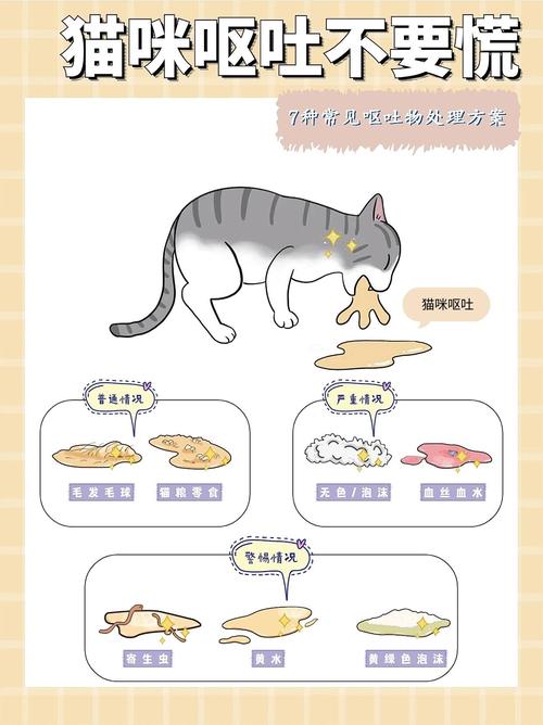 作为消费者“猫咪呕吐怎么治疗”你不能不知道-第2张图片 作为消费者“猫咪呕吐怎么治疗”你不能不知道-第2张图片