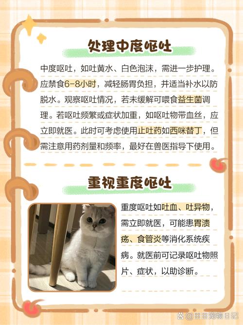 作为消费者“猫咪呕吐怎么治疗”你不能不知道-第5张图片 作为消费者“猫咪呕吐怎么治疗”你不能不知道-第5张图片