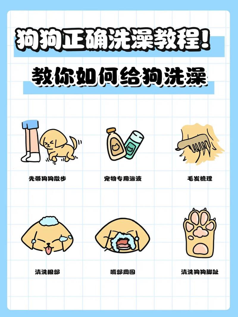可以用洗衣粉给狗狗洗澡吗/能不能用洗衣粉给狗狗洗澡-第1张图片 可以用洗衣粉给狗狗洗澡吗/能不能用洗衣粉给狗狗洗澡-第1张图片