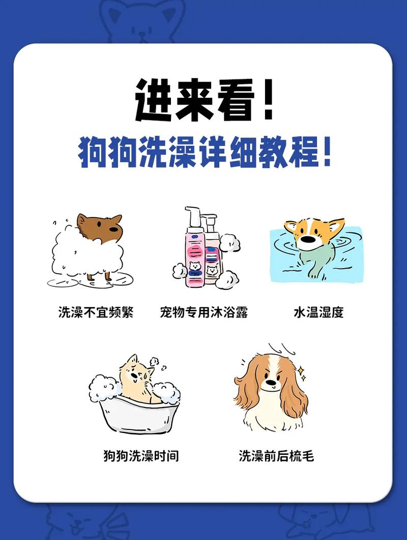 可以用洗衣粉给狗狗洗澡吗/能不能用洗衣粉给狗狗洗澡-第8张图片 可以用洗衣粉给狗狗洗澡吗/能不能用洗衣粉给狗狗洗澡-第8张图片