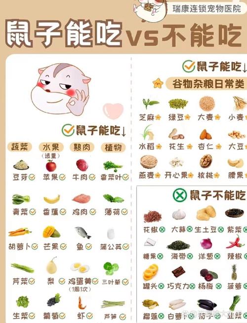 仓鼠爱吃什么东西/仓鼠爱吃什么东西比较好-第3张图片 仓鼠爱吃什么东西/仓鼠爱吃什么东西比较好-第3张图片