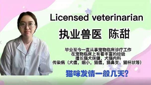 猫咪发情期多久,猫咪发情期多久结束啊-第5张图片 猫咪发情期多久,猫咪发情期多久结束啊-第5张图片