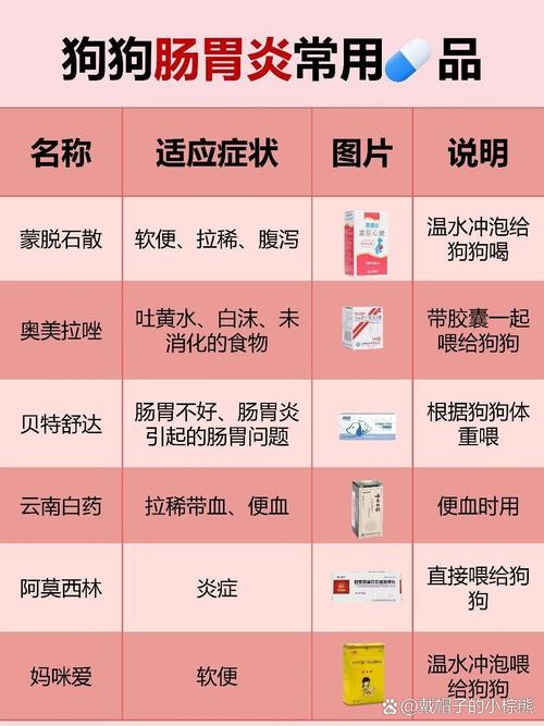 狗狗肠胃炎吃什么药,治疗狗狗肠胃炎的药-第8张图片 狗狗肠胃炎吃什么药,治疗狗狗肠胃炎的药-第8张图片
