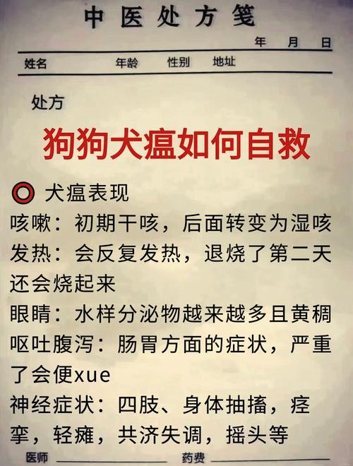 解析“犬瘟初期怎么治疗比较好”你不知道的事-第2张图片 解析“犬瘟初期怎么治疗比较好”你不知道的事-第2张图片