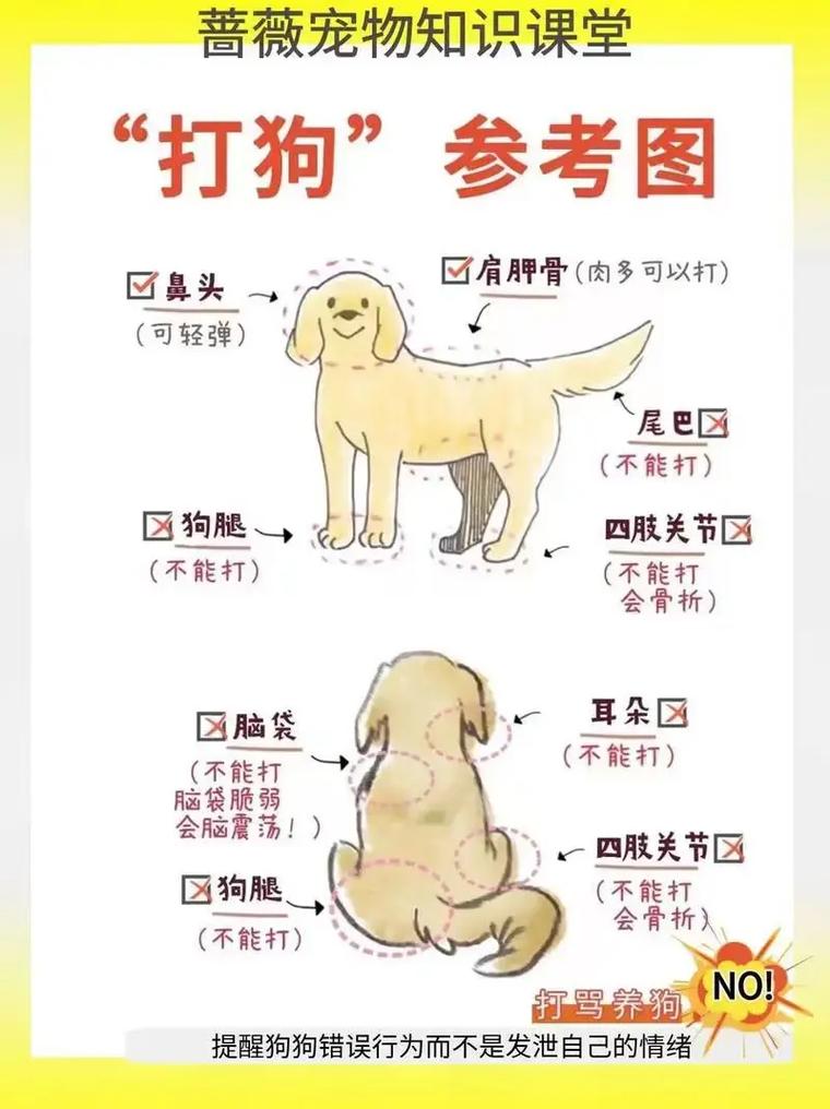 作为消费者“狗狗不听话怎么训练”你不能不知道-第6张图片 作为消费者“狗狗不听话怎么训练”你不能不知道-第6张图片