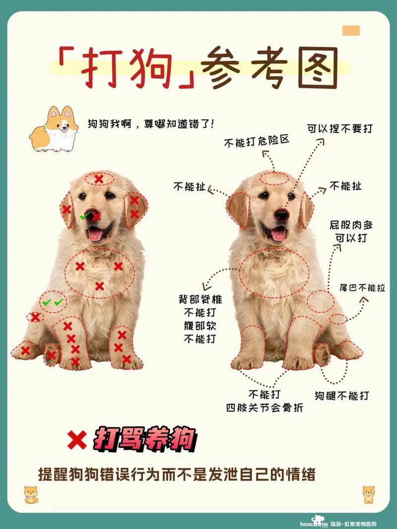 作为消费者“狗狗不听话怎么训练”你不能不知道-第7张图片 作为消费者“狗狗不听话怎么训练”你不能不知道-第7张图片