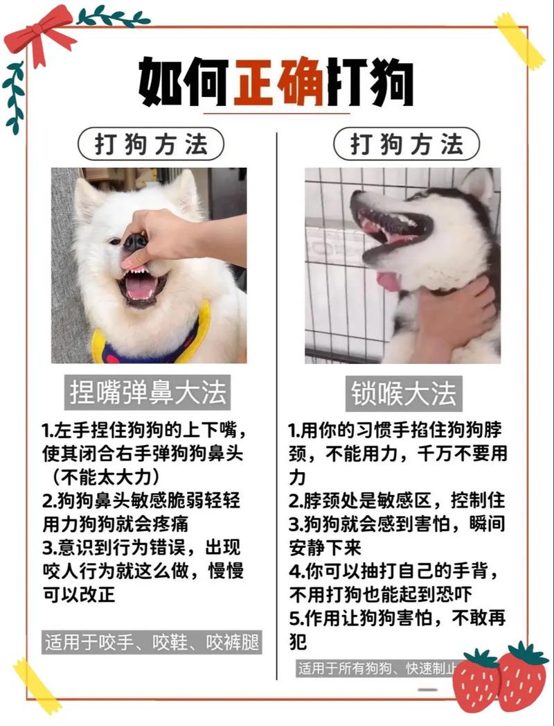 作为消费者“狗狗不听话怎么训练”你不能不知道-第8张图片 作为消费者“狗狗不听话怎么训练”你不能不知道-第8张图片